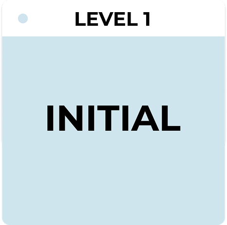IT Asset Management/ ITAM-Reifegradstufe 1 – Initial, veranschaulicht die informelle IT-Asset-Verfolgung, reaktive Prozesse und den Übergang zu einem strukturierten IT-Asset-Management mit NetBox.