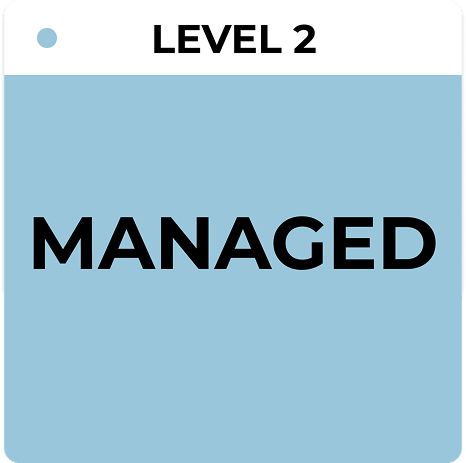 IT Asset Management/ ITAM-Reifegradstufe 2 – Verwaltet, veranschaulicht strukturiertes, aber inkonsistentes IT-Asset-Tracking, teilweise Lizenzverwaltung und den Übergang zur Automatisierung mit Device42.