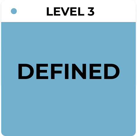 IT Asset Management/ ITAM-Reifegradstufe 3 – Definiert, veranschaulicht standardisiertes IT-Asset-Tracking, verbesserte Lizenzverwaltung und den Übergang zu fortgeschrittenem Asset-Tracking mit DC Vision.